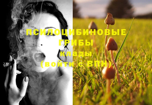MDMA Premium VHQ Дмитров