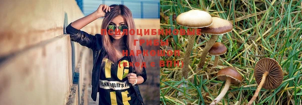 тгк Дмитровск